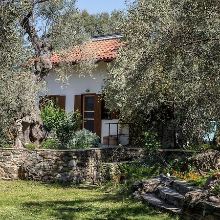 Piges Villa Milina Dış mekan fotoğraf