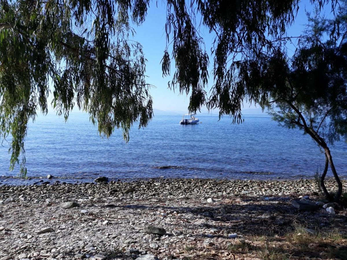 Piges Villa Milina Dış mekan fotoğraf