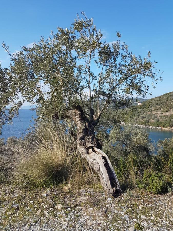 Piges Villa Milina Dış mekan fotoğraf