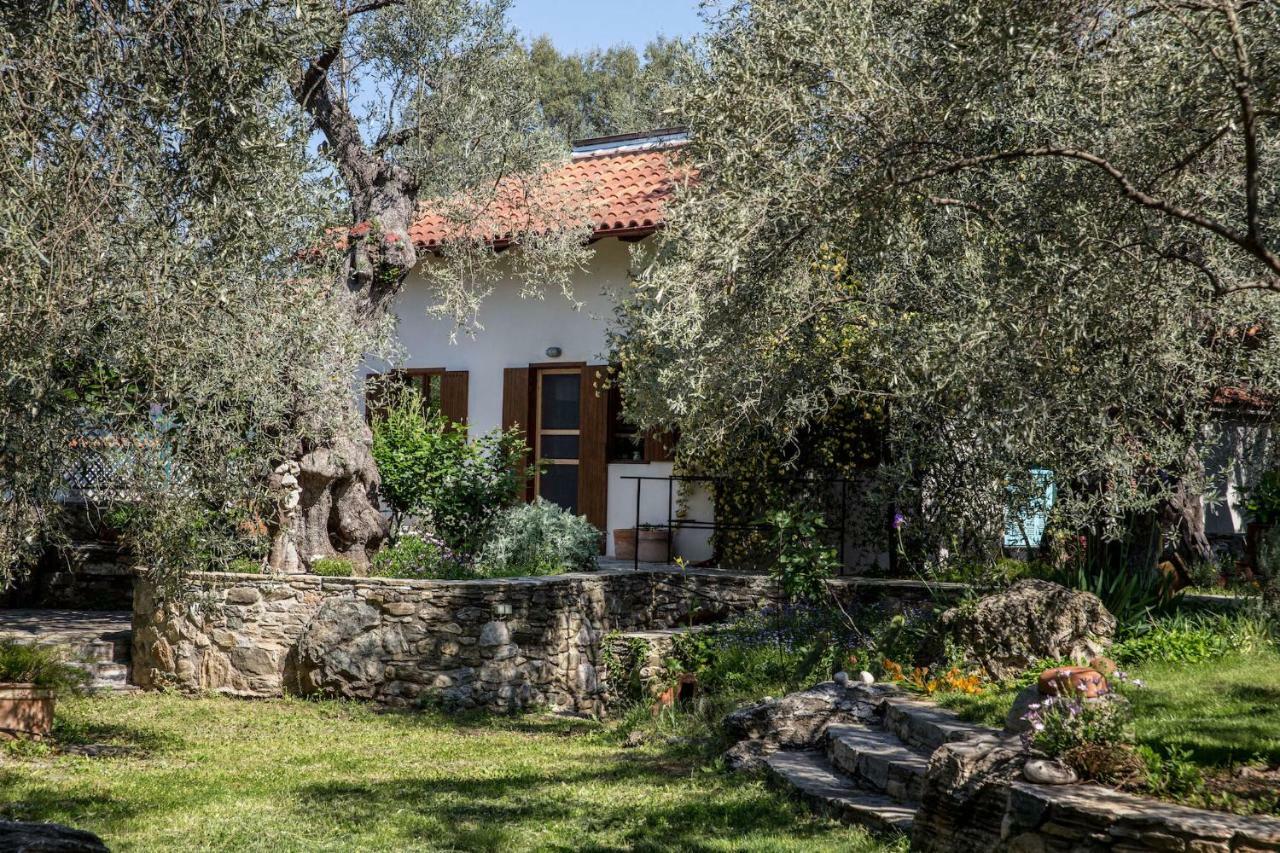 Piges Villa Milina Dış mekan fotoğraf