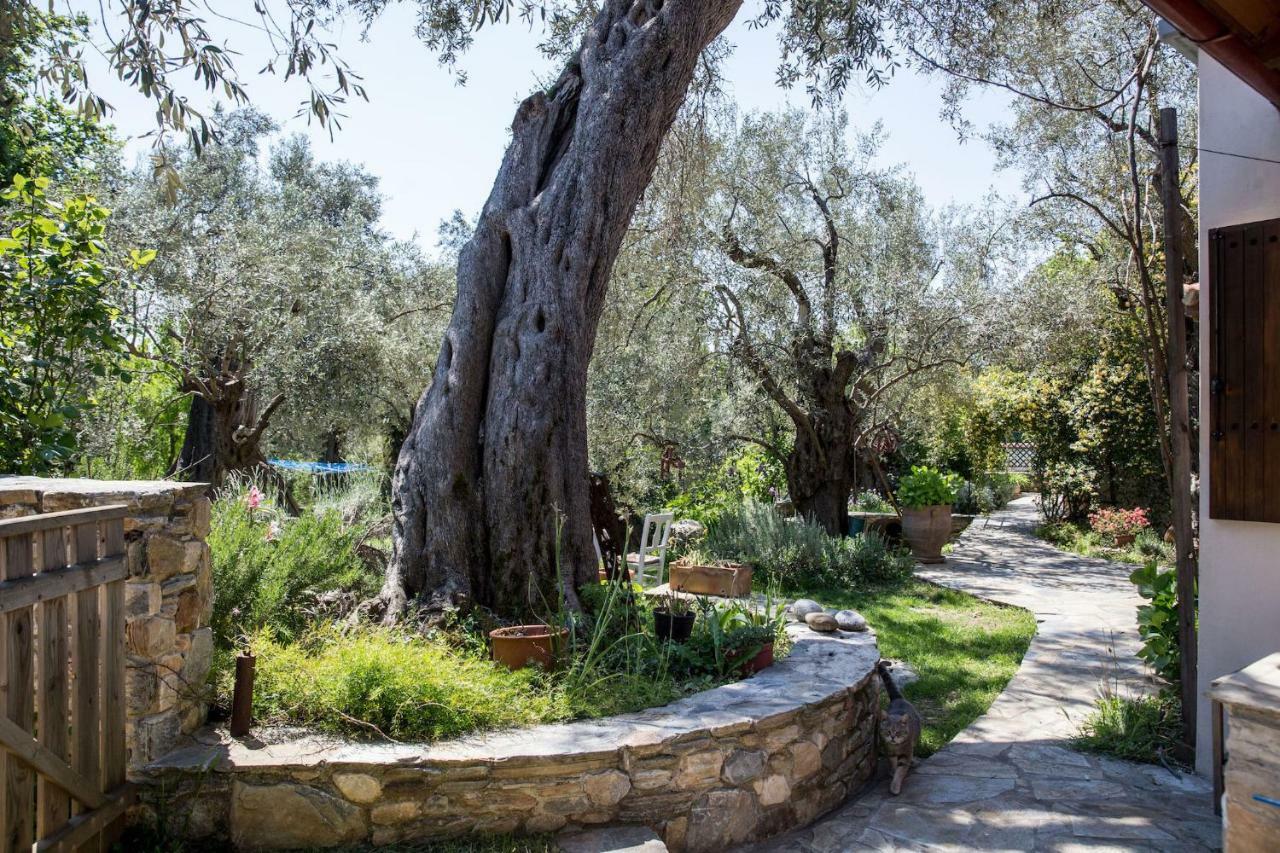 Piges Villa Milina Dış mekan fotoğraf